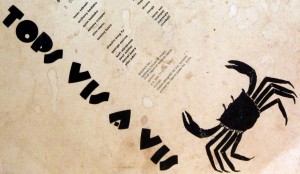 Vis a Vis, backsleeve detail